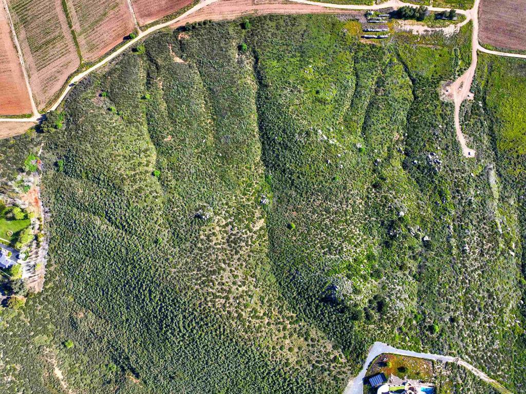 Sierra Linda Dr Escondido - photo 4