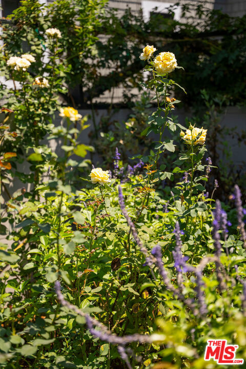 MLS #25625111 img 40