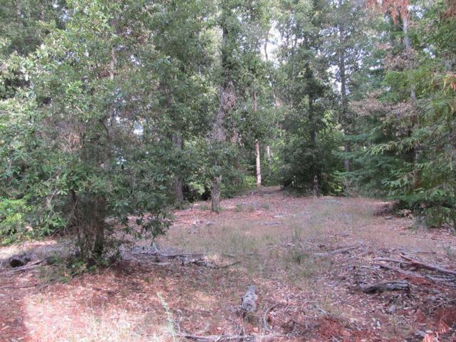 0 E Hilton, Boulder Creek CA: https://media.crmls.org/mediaz/b357e768-0724-4bfb-85e6-6b4b8a1da633.jpg