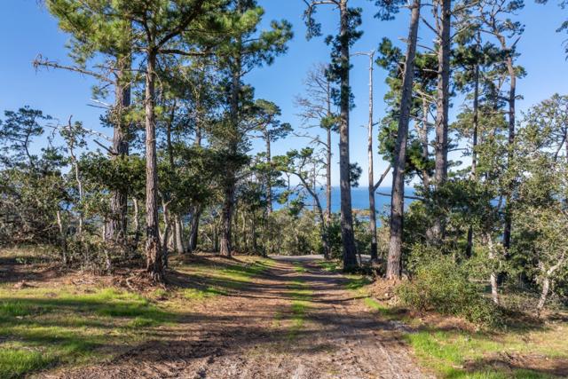 90 Crest Road, Carmel CA: https://media.crmls.org/mediaz/b366dba8-ee51-4777-b807-640732ac18fa.jpg