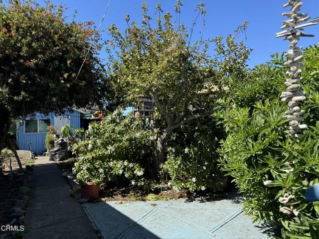 443 S Harrison Street, Fort Bragg, California 95437, 4 Bedrooms Bedrooms, ,2 BathroomsBathrooms,Residential,For Sale,443 S Harrison Street,CRC1-10750