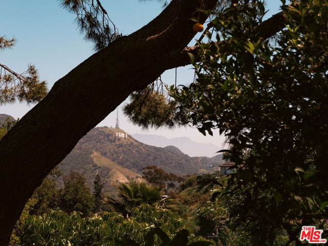 7349 Pacific View Drive, Los Angeles CA: https://media.crmls.org/mediaz/b3724122-d82c-4177-a98e-0388490e8f0e.jpg