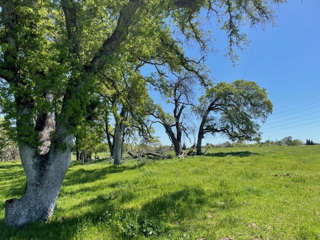 0 Cardwell Avenue, Orangevale CA: https://media.crmls.org/mediaz/b3778ff6-2361-47ca-891a-a371eef6da18.jpg