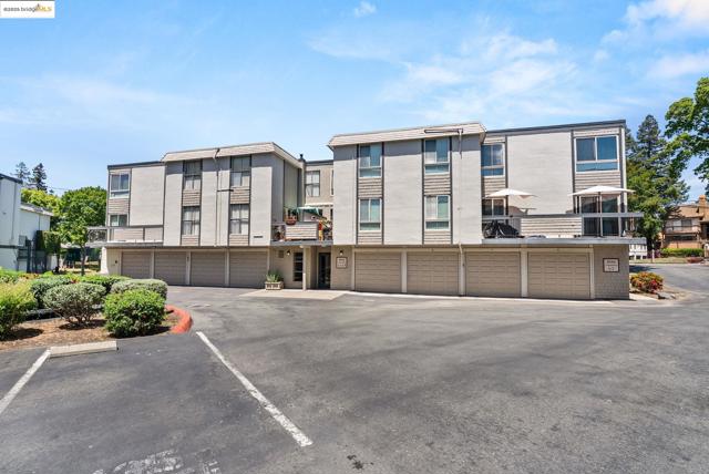 2044 Sierra Rd., Concord CA: https://media.crmls.org/mediaz/b38831f8-ab02-41e6-9ff7-688e20931179.jpg