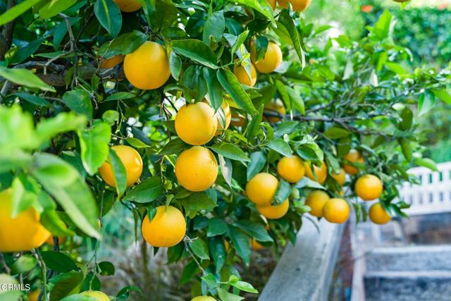 Detail Gallery Image 70 of 75 For 1639 San Rafael Way, Camarillo,  CA 93012 - 5 Beds | 4 Baths