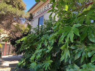 418 Cedar Street, Santa Cruz, California 95060, ,Business Opportunity,For Sale,Cedar,ML81901590