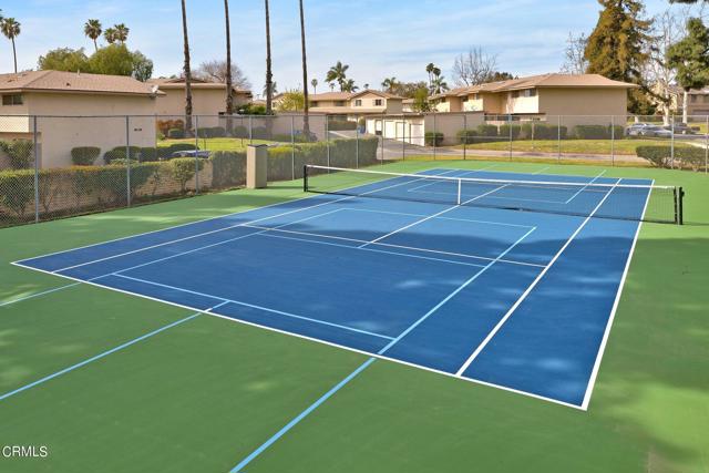 41-web-or-mls-Community Tennis