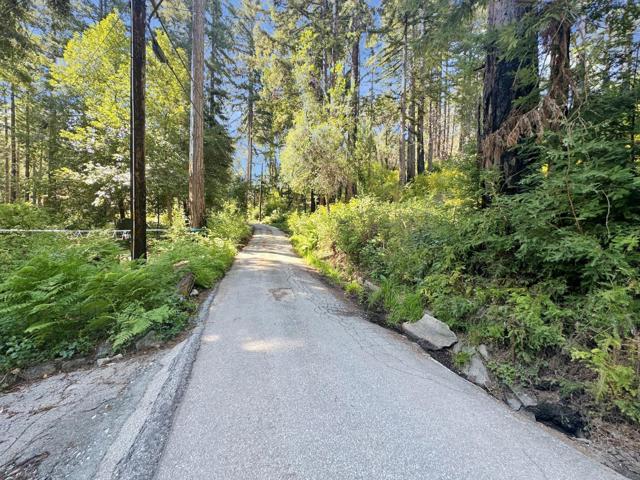 MLS #ML81963527 image #6