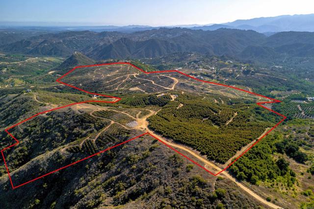Detail Gallery Image 6 of 40 For 45000 Rancho Fallbrook Rd, Temecula,  CA 92590 - – Beds | – Baths