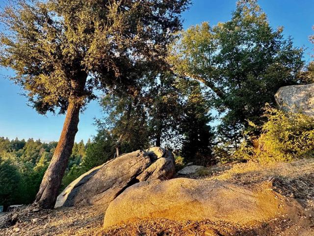 Detail Gallery Image 11 of 47 For 10 Acres Greenfield Way, Palomar Mountain,  CA 92060 - – Beds | – Baths