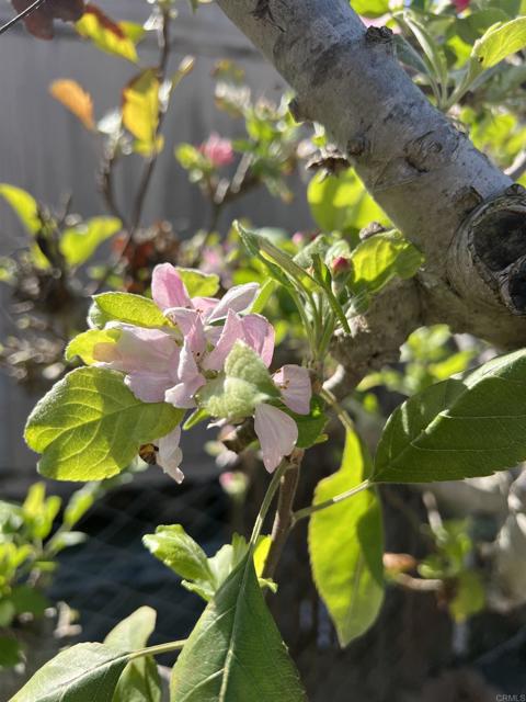 Detail Gallery Image 47 of 53 For 200 N El Camino Real #150,  Oceanside,  CA 92058 - 3 Beds | 2 Baths