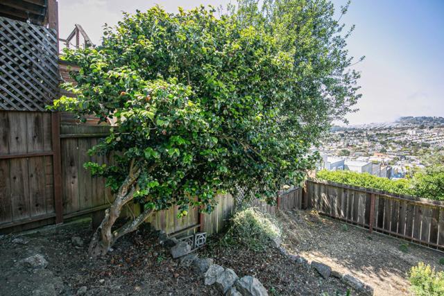 224 Shields Street, San Francisco CA: https://media.crmls.org/mediaz/b3b049b3-c2f6-40c3-8ef7-debd4658419e.jpg