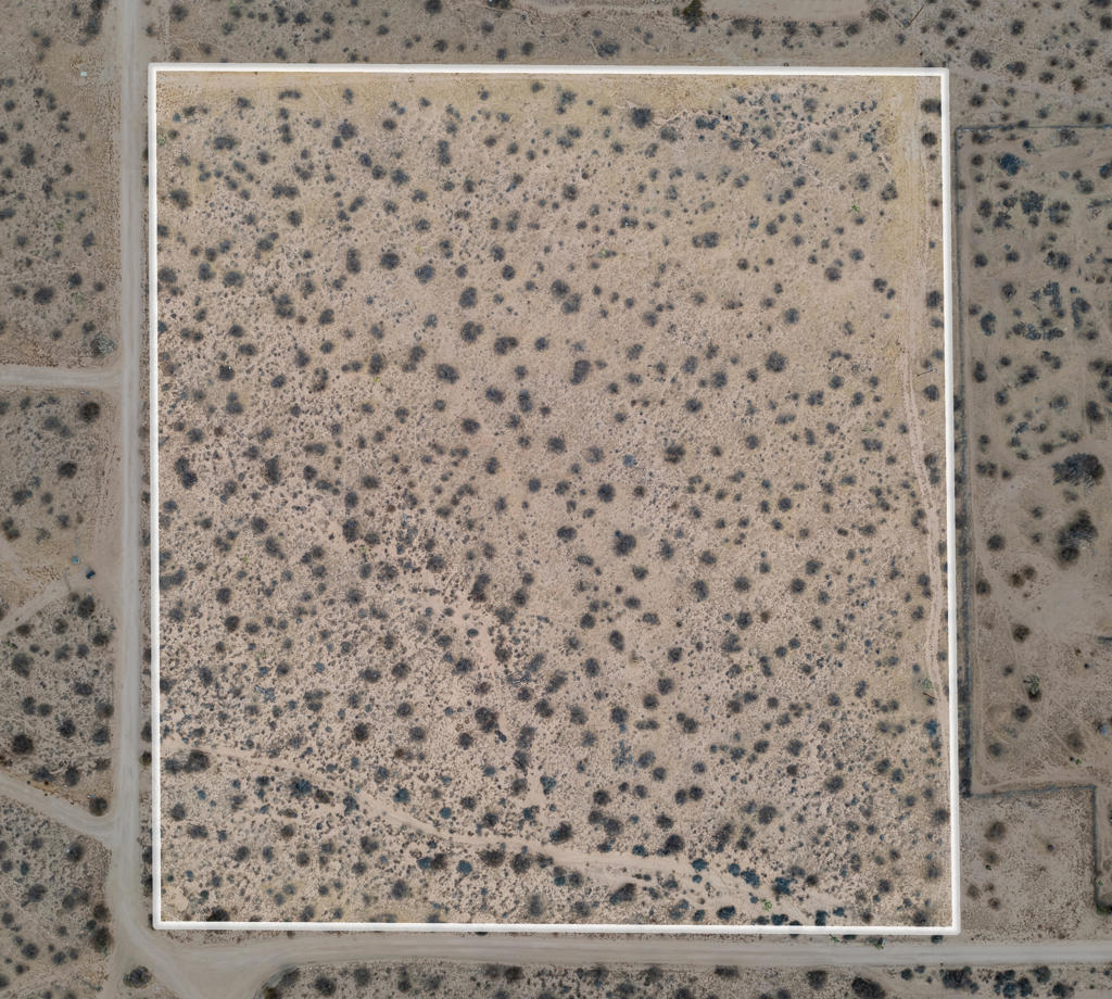 MLS #219130216DA image #2