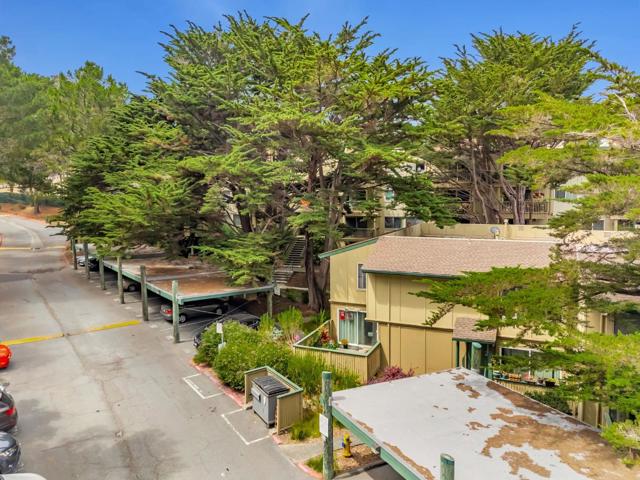 377 Mandarin Drive, Daly City CA: https://media.crmls.org/mediaz/b3cd7bf3-67c6-4e38-9ef0-ec93583d8743.jpg