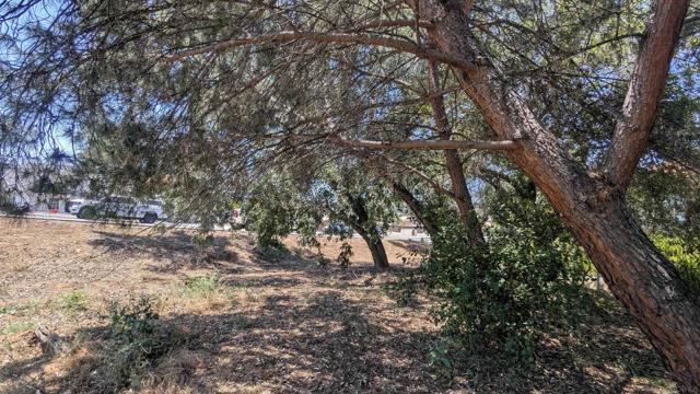 678 Hamilton, Escondido CA: https://media.crmls.org/mediaz/b3d1e774-b033-4a29-8a4c-63aea5964beb.jpg