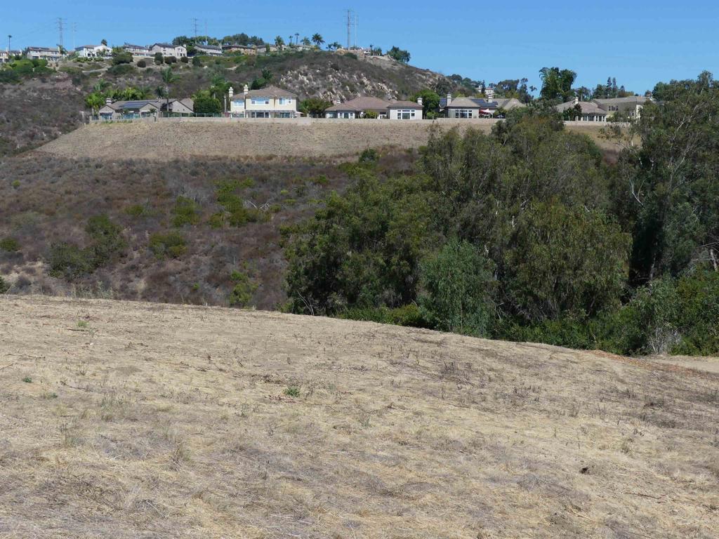 Paradise Glen Way San Marcos - photo 12