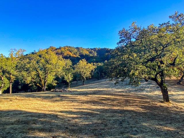 22 Arroyo Sequoia, Carmel CA: https://media.crmls.org/mediaz/b3e80393-08dc-40c2-bab8-e6bf67f0b68e.jpg