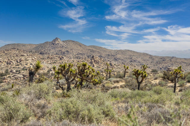 Image 2 of 26 For 101 Hondo Street