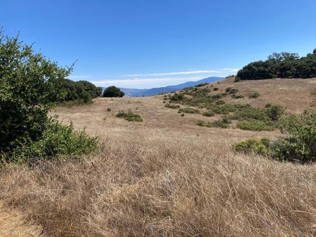 0 Ranch, Carmel Valley Road, Carmel CA: https://media.crmls.org/mediaz/b40dc500-8db3-4ce2-8630-6cb684d6ecf9.jpg