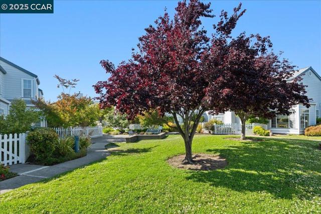 609 Commodore Dr, Richmond CA: https://media.crmls.org/mediaz/b4126971-6266-43bf-a727-b35a79ce5e7b.jpg