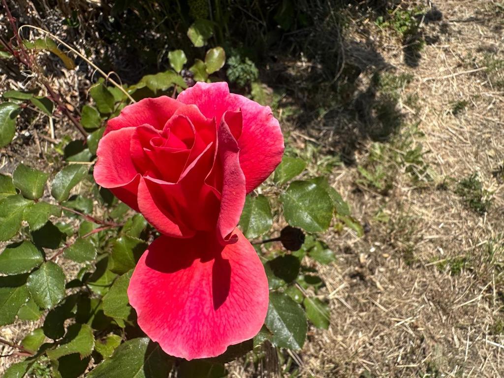 https://media.crmls.org/mediaz/b4139748-f329-419d-babb-de5861086f74.jpg?preset=X-Large