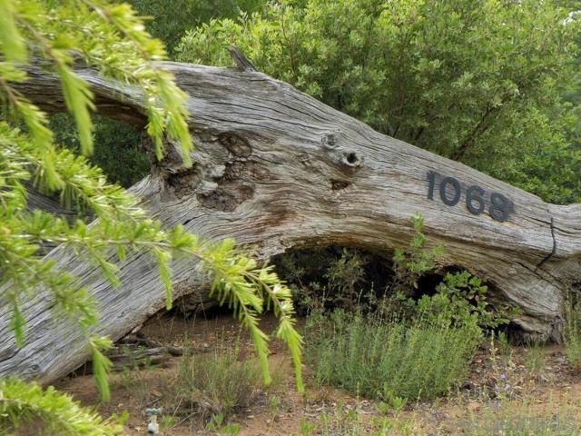 1068 W Incense Cedar Road, Julian CA: https://media.crmls.org/mediaz/b4170e8c-b0b4-4398-84d9-3b671e069ed0.jpg