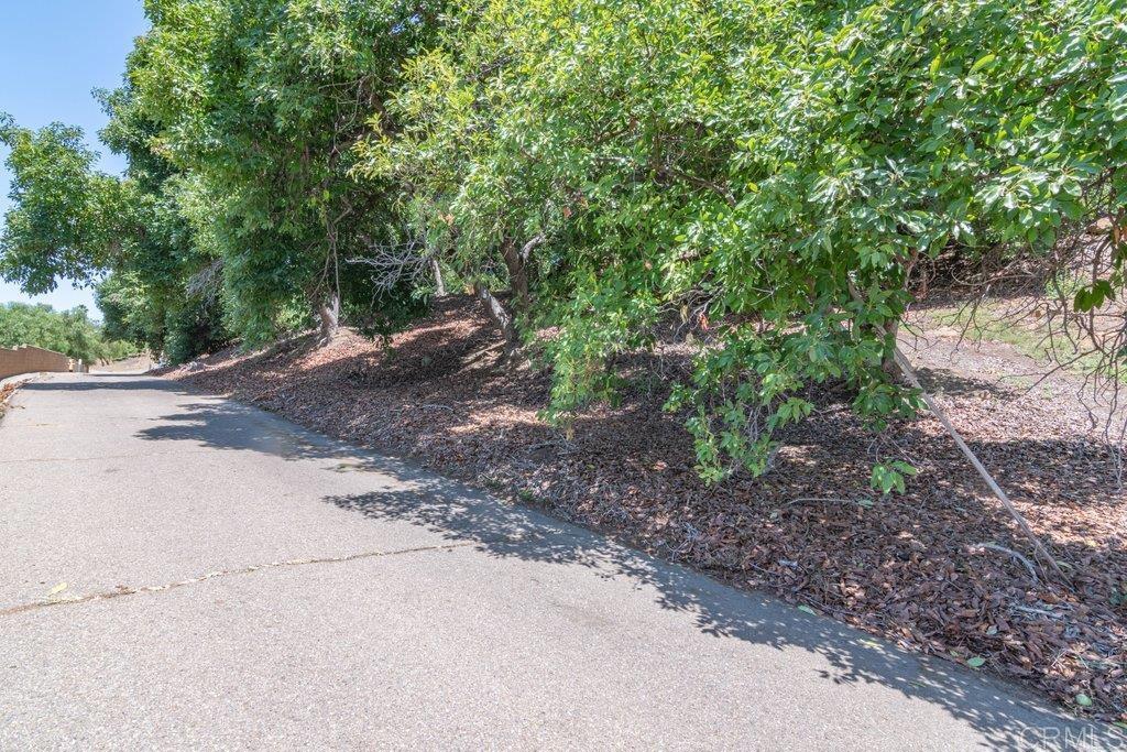 3137 Valley Parkway - photo 19