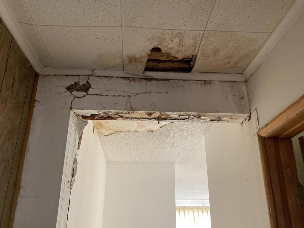 MLS #219134439DA image #26