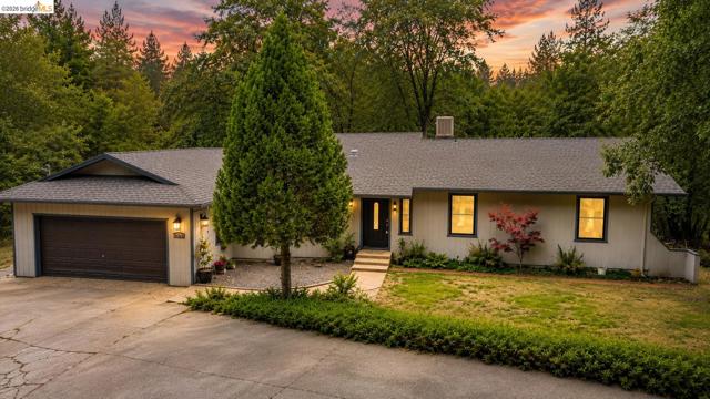 Ranch-style residence featuring a dark asphalt shingle roof, attached two-car garage with an automatic door, light-colored siding, and a concrete driveway