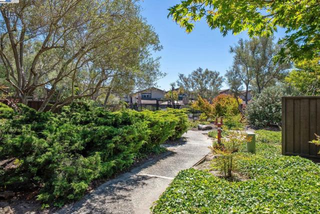 1230 Ballena Blvd, Alameda CA: https://media.crmls.org/mediaz/b43bc62f-0400-443c-aacb-e71c9f795301.jpg