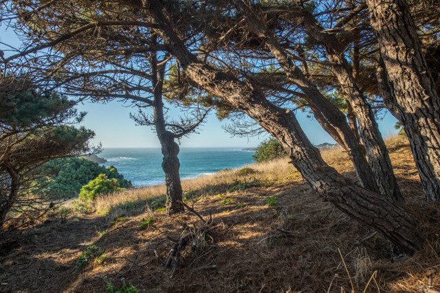 Detail Gallery Image 49 of 59 For 9350 N Highway 1, Mendocino,  CA 95460 - 4 Beds | 4 Baths