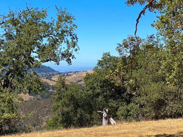 21 Long Ridge Trail, Carmel CA: https://media.crmls.org/mediaz/b43f1492-965c-4f9c-8abe-1d8f07fff0a0.jpg