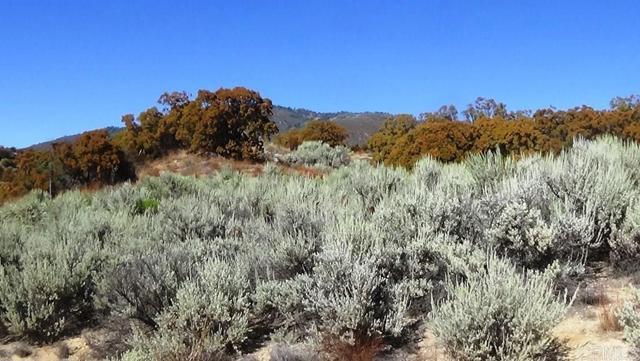 Detail Gallery Image 34 of 41 For 37245 Old Forest Rd, Anza,  CA 92539 - – Beds | – Baths