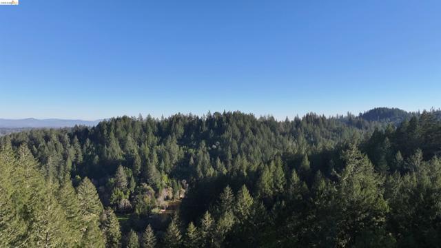 5051 Harrison Grade Rd, Sebastopol CA: https://media.crmls.org/mediaz/b446e69c-a921-42bc-9d35-24e878164369.jpg