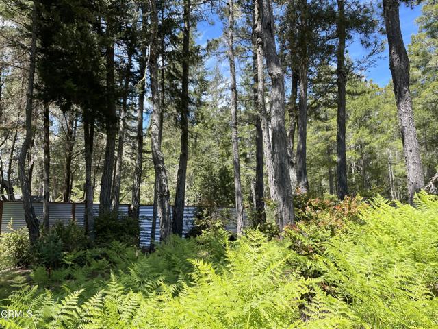29331 Albion Ridge Road, Albion CA: https://media.crmls.org/mediaz/b4506bd4-5d9f-48c9-a1b5-af905e231bf7.jpg
