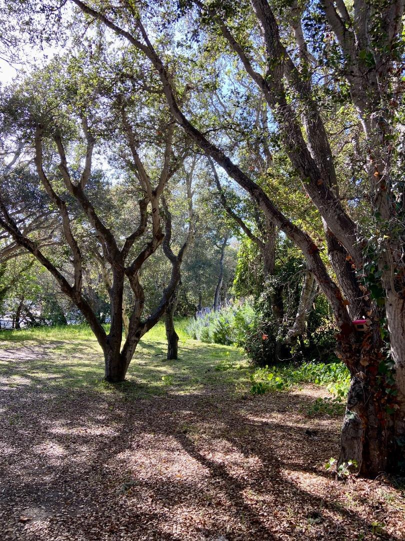 https://media.crmls.org/mediaz/b4509bc7-f33c-48f2-b3be-fe229b66a2e7.jpg?preset=X-Large