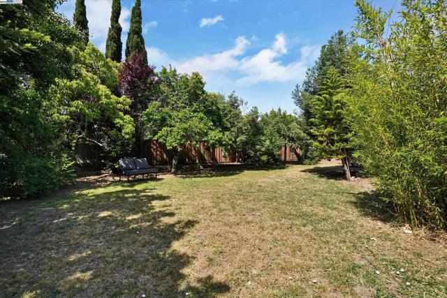 4909 Romeo, Fremont CA: https://media.crmls.org/mediaz/b4738c5b-db92-4f0b-94c7-db61a5345164.jpg