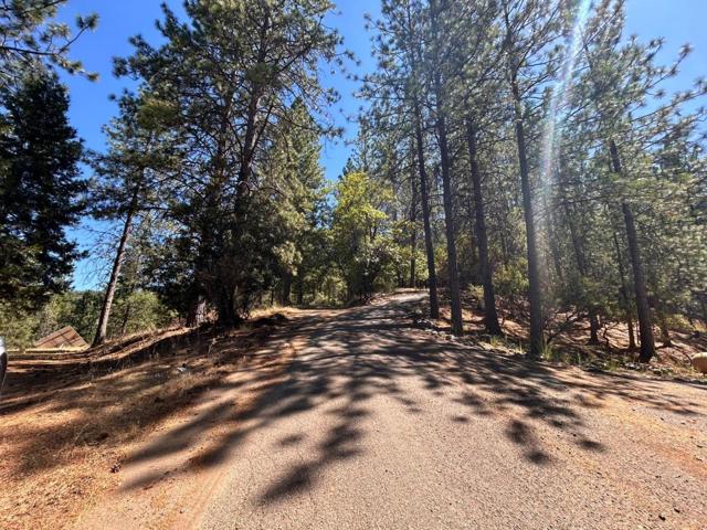 1720 Jacobs Way, Placerville CA: https://media.crmls.org/mediaz/b4810cb9-355f-47aa-9f06-bb357b051286.jpg