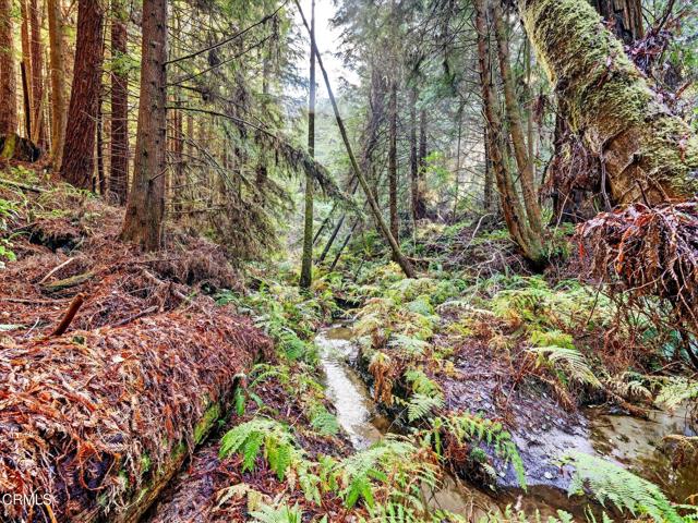 Detail Gallery Image 3 of 47 For 19400 Dorffi Rd, Fort Bragg,  CA 95437 - 3 Beds | 2/1 Baths