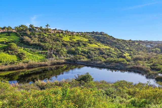 Detail Gallery Image 44 of 44 For 922 Lindbergh Dr, San Marcos,  CA 92069 - 4 Beds | 4/1 Baths