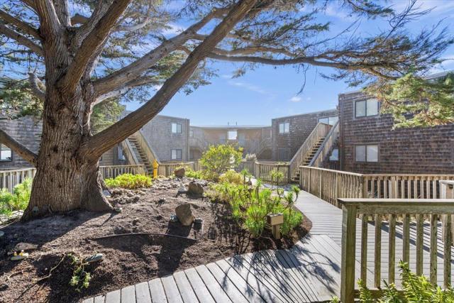 101 Shell Drive, Watsonville CA: https://media.crmls.org/mediaz/b4a503bc-8319-46fb-bcd6-34c325008def.jpg