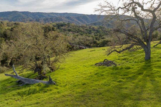 21 Pronghorn Run (Lot 119), Carmel CA: https://media.crmls.org/mediaz/b4a90568-d2b3-4d76-ac1a-e28a31962762.jpg