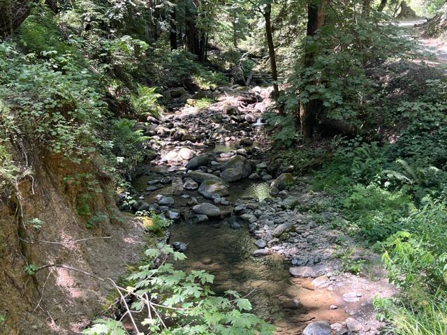 0 Deer Creek (Lot 21), Boulder Creek CA: https://media.crmls.org/mediaz/b4aa38d3-40cf-4bcd-a3c0-a80098f747d4.jpg