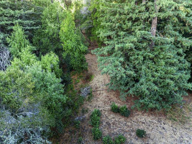 12 Montecito Road, Woodside CA: https://media.crmls.org/mediaz/b4af9556-cc69-4fdc-a727-1acf25887192.jpg