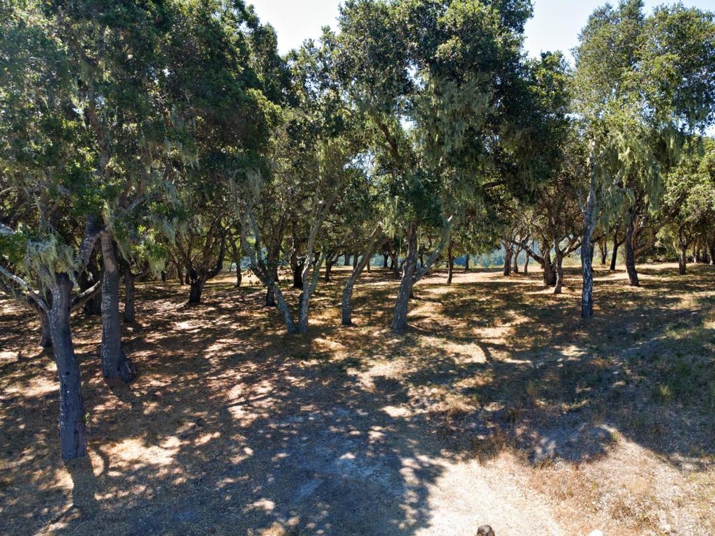 MLS #ML82010106 image #7