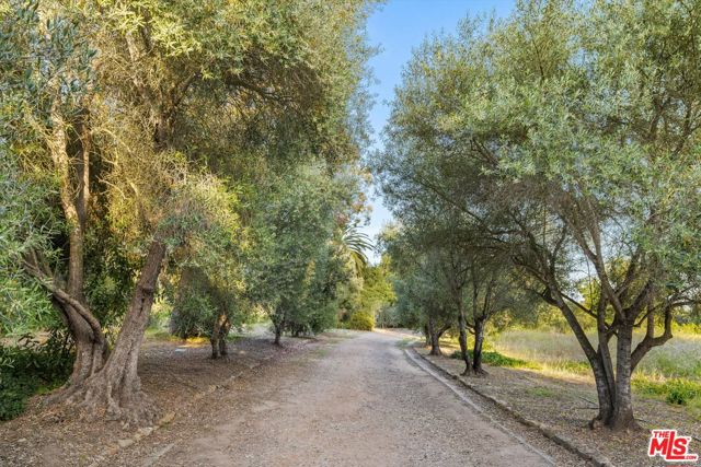 6591 Camino Venturoso, Goleta CA: https://media.crmls.org/mediaz/b4ba3175-7b79-4762-8174-7cb93f51ee4f.jpg