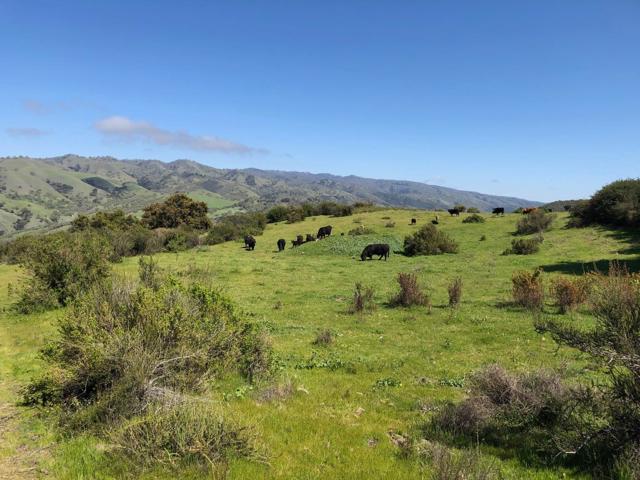 0 Creek Ranch, Carmel Valley Road, Carmel Valley CA: https://media.crmls.org/mediaz/b4bb7971-fcb0-4071-b3da-1b1e6011044e.jpg