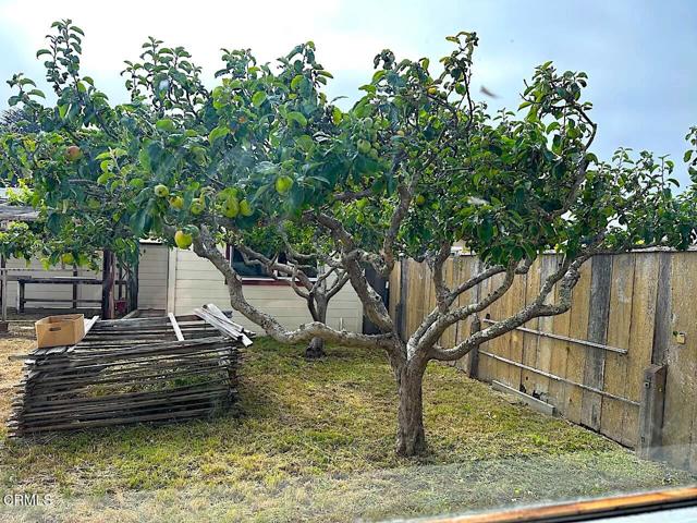 Detail Gallery Image 7 of 19 For 571 S Franklin St, Fort Bragg,  CA 95437 - 3 Beds | 2 Baths