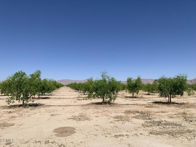 12500 Locust Avenue, Lucerne Valley CA: https://media.crmls.org/mediaz/b4c30497-6a06-46a4-bef2-34a31e21b80f.jpg