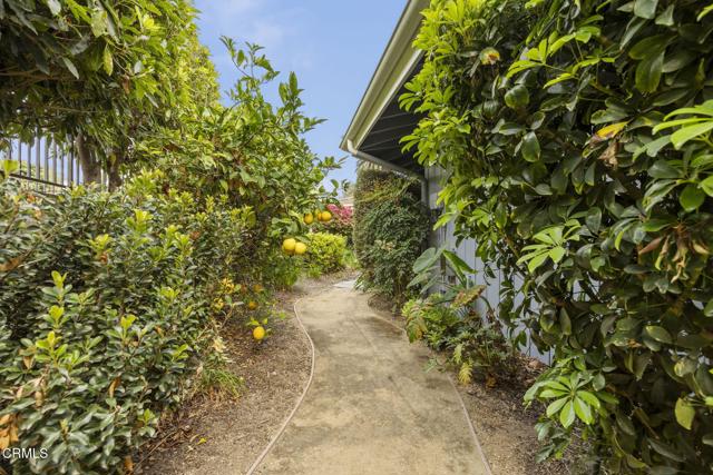 Detail Gallery Image 52 of 76 For 1361 Calle Aurora, Camarillo,  CA 93010 - 4 Beds | 3/1 Baths